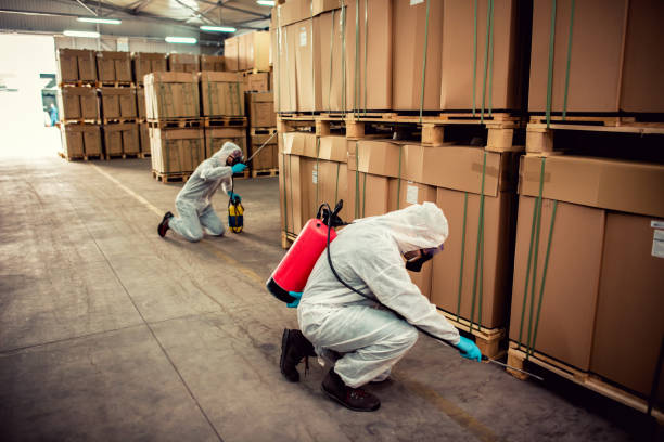 Best Emergency Pest Control  in Appleton City, MO