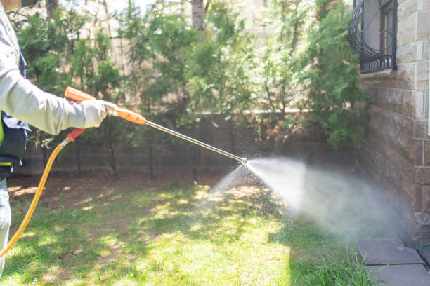 Best Rat Extermination Near Me  in Appleton City, MO