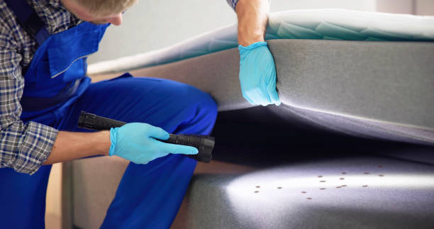 Reliable Appleton City, MO Pest Control Solutions